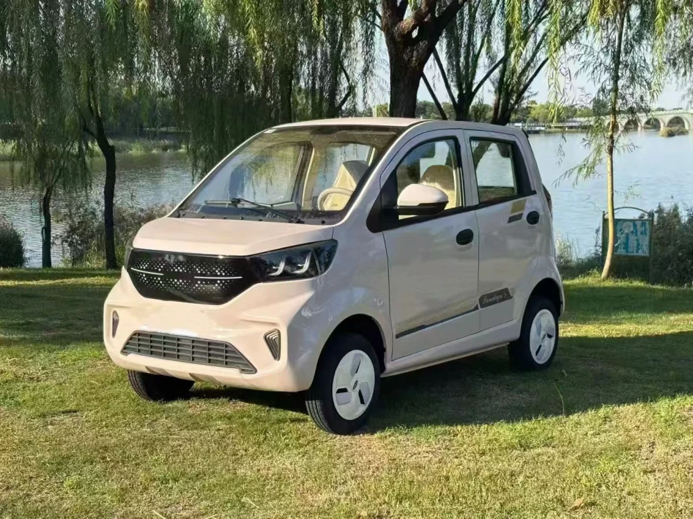 FIVE SEATS FAMILY DRIVE ELECTRIC CARS EXPORT TO WORLD WIDE FACTORY IN CHINA