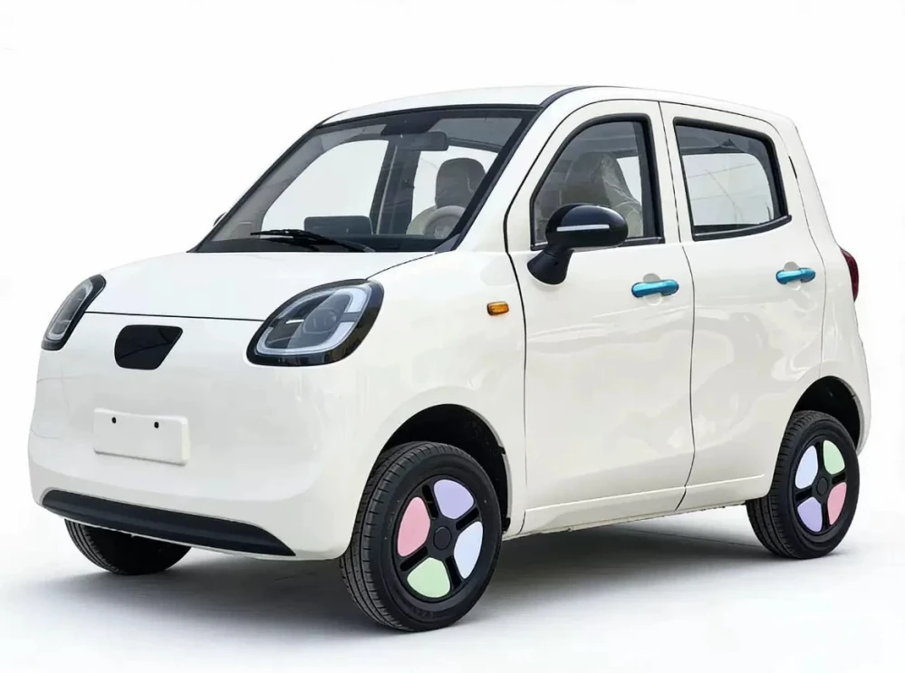 Senior Community EV Mobility MINI CAR
